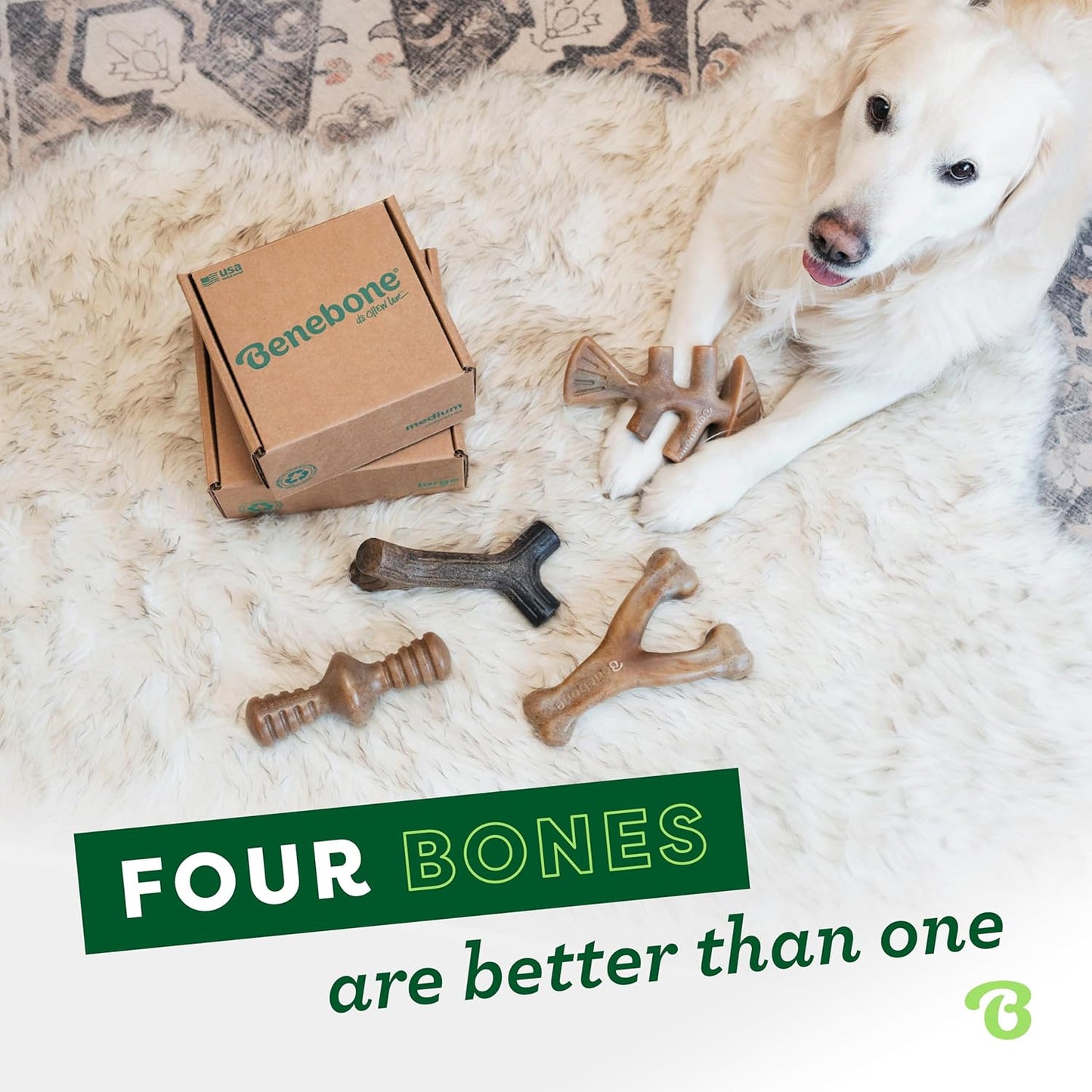 Benebone 4-Pack Durable Dog Chew Toys for Aggressive Chewers, Real Flavors, Made in USA, Medium