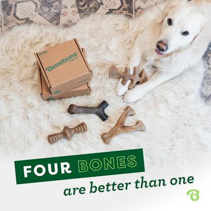 Benebone 4-Pack Durable Dog Chew Toys for Aggressive Chewers, Real Flavors, Made in USA, Medium