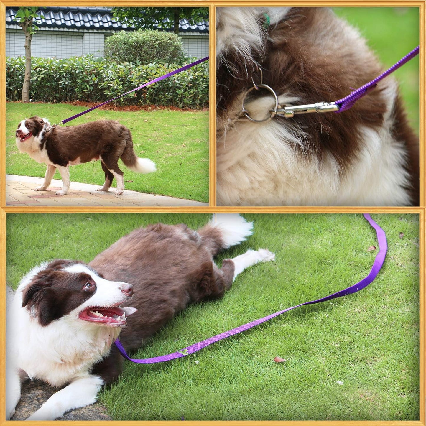 AMAGOOD Dog/Puppy Obedience Recall Training Agility Lead-15 ft 20 ft 30 ft 50 ft Long Leash-for Dog Training,Tie Out,Play,Safety,Camping (15 feet, Black)