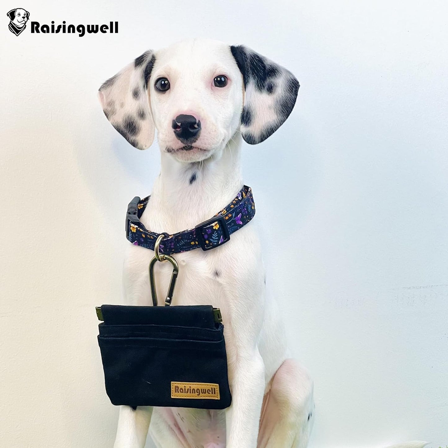 Raisingwell Dog Treat Pouch, Black Pocket Sized Pet Training Pouch, Cotton Fabric, Hand Free Dog Walking Bag with Carabiner, Self-Closing Pet Feed Snack Reward, for Pet Puppy Travel or Outdoor Use