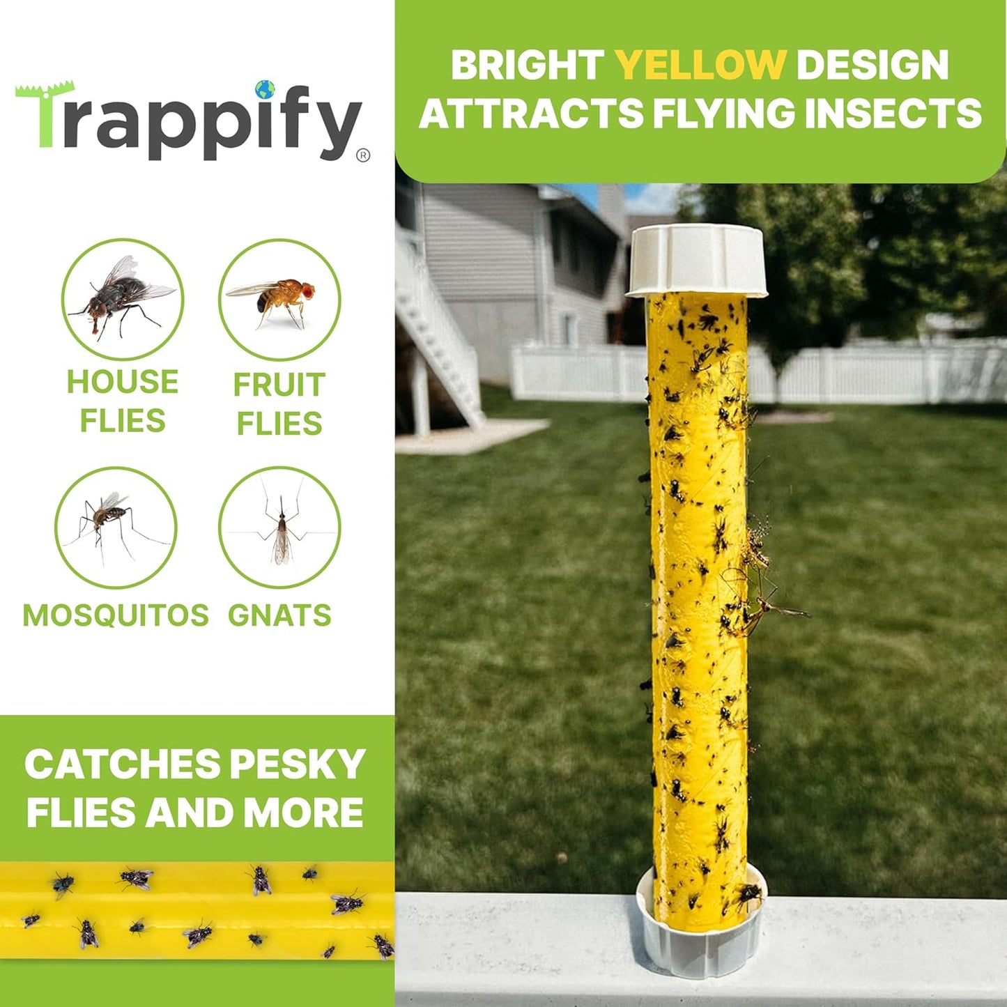 Trappify Hanging Fly Traps Outdoor: Fruit Fly Traps for Indoors | Fly Catcher, Gnat, Mosquito, & Flying Insect Catchers for Inside Home - Disposable Sticky Fly Trap for Indoor House Pest Control (2)