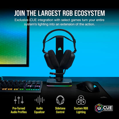 Corsair HS80 RGB USB Premium Gaming Headset with Dolby Audio 7.1 Surround Sound (Broadcast-Grade Omni-Directional Microphone, Memory Foam Earpads, High-Fidelity Sound, Durable Construction) Carbon