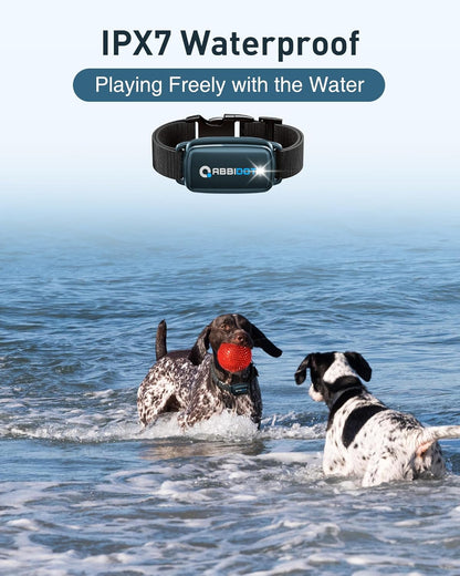 ABBIDOT 3300 Ft Dog Training Collar with Remote - [New Version] Shock Collar, 5 Training Modes, 88 Levels e Collar, Waterproof Training Collar for Small Medium Large Dogs(15~120 lbs)