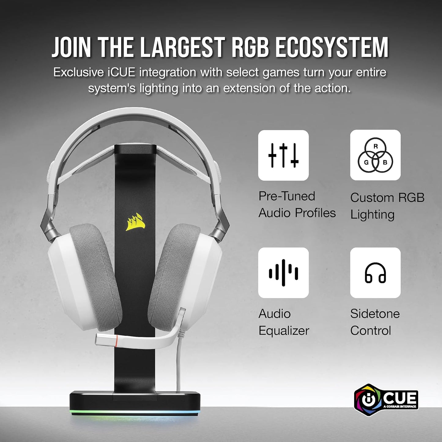 Corsair HS80 RGB USB Premium Gaming Headset with Dolby Audio 7.1 Surround Sound (Broadcast-Grade Omni-Directional Microphone, Memory Foam Earpads, High-Fidelity Sound, Durable Construction) Carbon