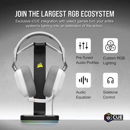 Corsair HS80 RGB USB Premium Gaming Headset with Dolby Audio 7.1 Surround Sound (Broadcast-Grade Omni-Directional Microphone, Memory Foam Earpads, High-Fidelity Sound, Durable Construction) Carbon