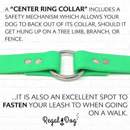 Regal Dog Products Small Orange Waterproof Dog Collar and Leash Set - Vinyl Coated, Biothane Puppy Pet Training Collar with Heavy Duty Center Ring & 5'ft Leash - Other Sizes for Medium & Large Dogs