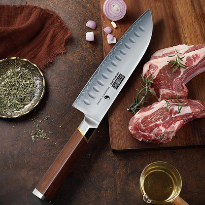 HOSHANHO Fillet Knife 7 Inch, Professional Japanese Super Steel Boning Knife for Meat Chicken Cutting, Japanese Fish Fillet Knife with Ergonomic Red Sandal Wooden Handle