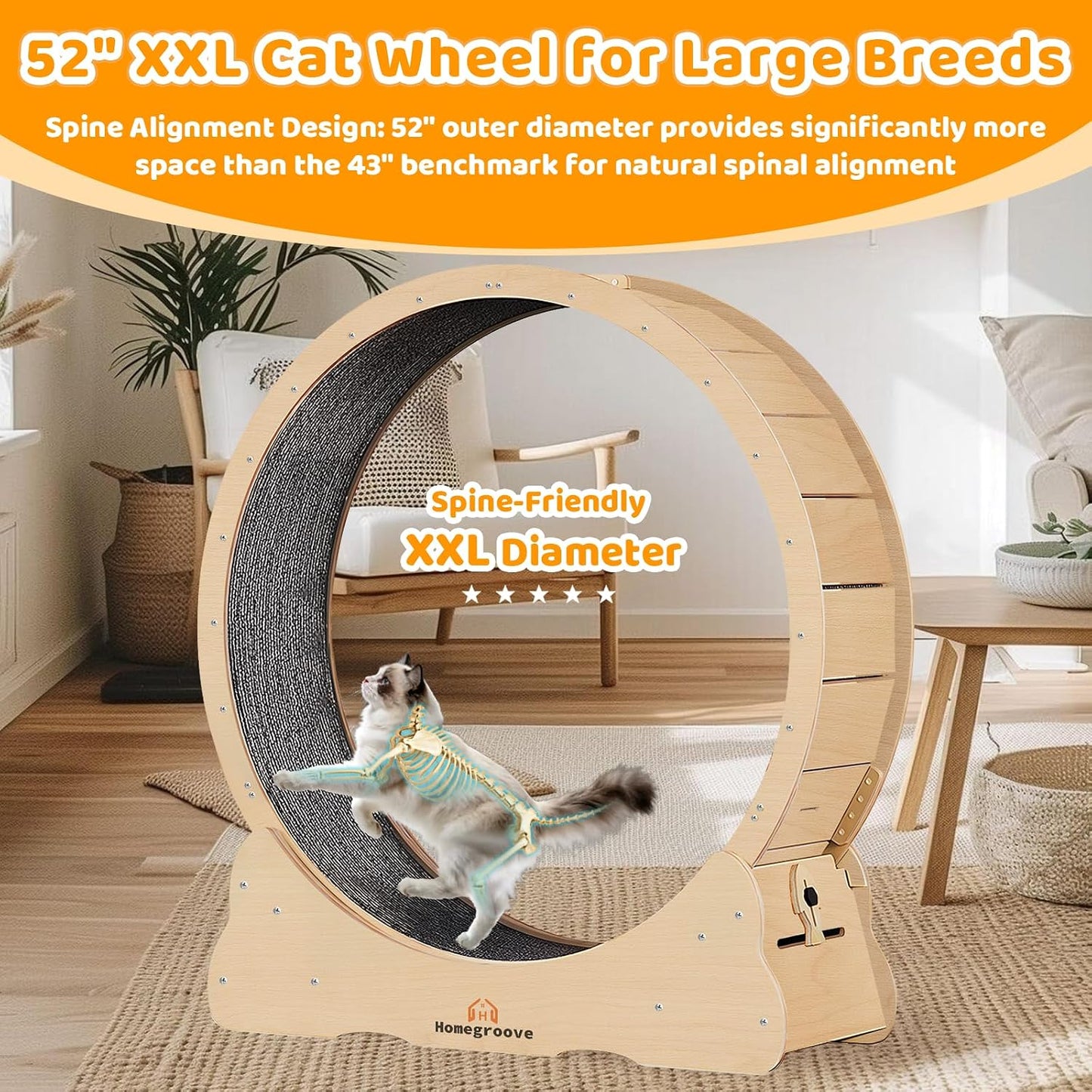 Homegroove Cat Wheels for Indoor Cats, Cat Exercise Wheel Treadmill with Carpeted Runway, Cat Running Wheel for Kitty’s Longer Life, Fitness Weight Loss Device, (XXL, Natural Wood)