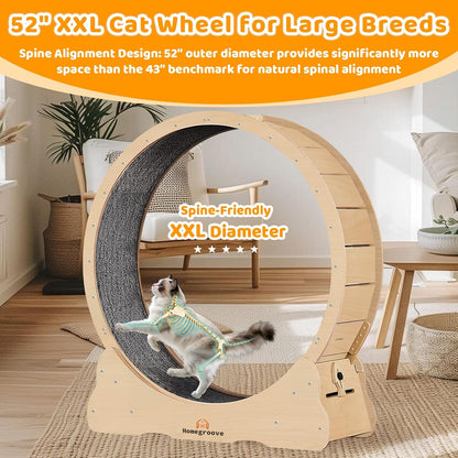 Homegroove Cat Wheels for Indoor Cats, Cat Exercise Wheel Treadmill with Carpeted Runway, Cat Running Wheel for Kitty’s Longer Life, Fitness Weight Loss Device, (XXL, Natural Wood)