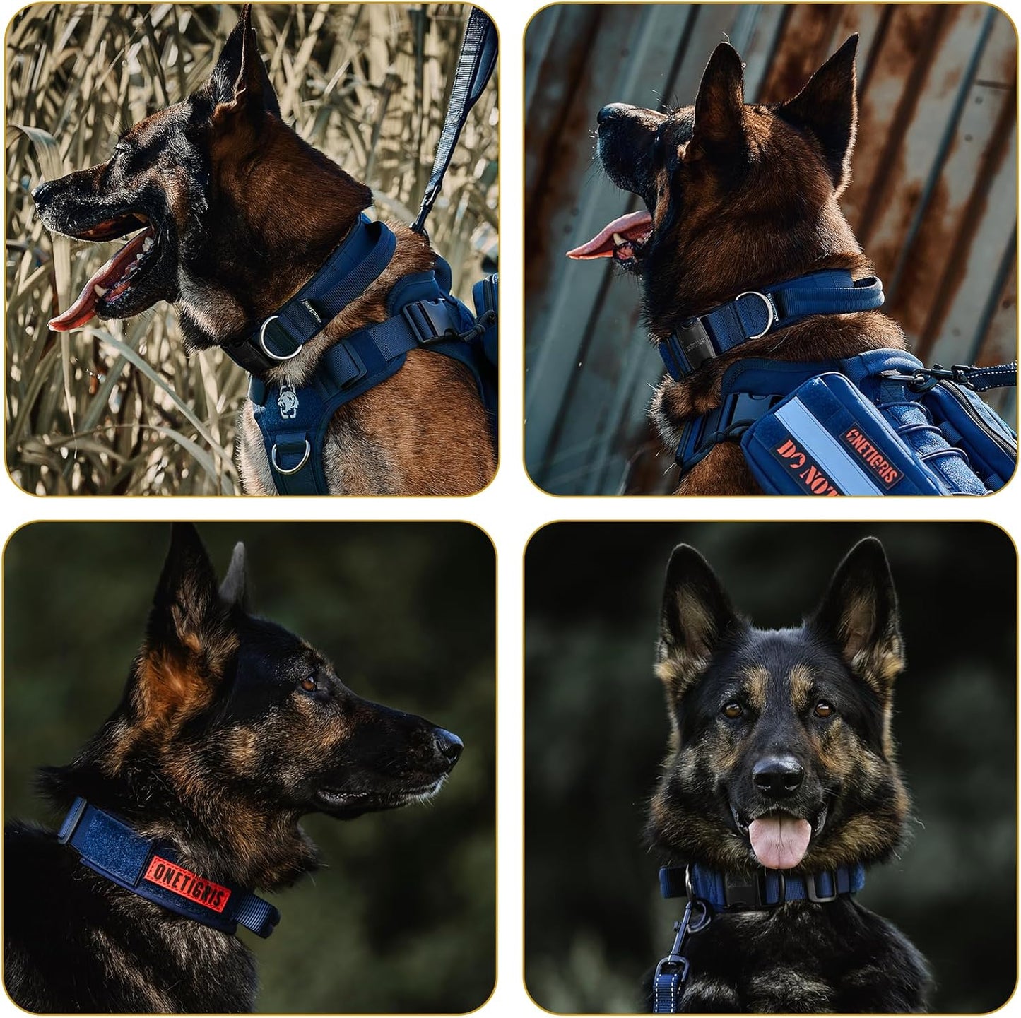 OneTigris Tactical Dog Collars with Handle,Military Dog Collar for Large Dog,Adjustable Nylon Collar German Shepherd Collar with Heavy Duty Metal Buckle for Dog Training and Walking (M, Orange)