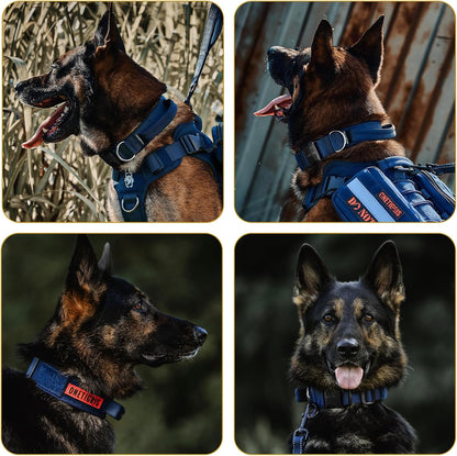 OneTigris Tactical Dog Collars with Handle,Military Dog Collar for Large Dog,Adjustable Nylon Collar German Shepherd Collar with Heavy Duty Metal Buckle for Dog Training and Walking (M, Orange)