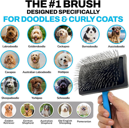 The Doodle Brush Slicker Brush Curly Coat Detangler, Extra Long Pin