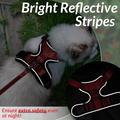 rabbitgoo Cat Harness and Leash for Walking, Escape Proof Soft Adjustable Vest Harnesses for Small Medium Cats, Easy Control Breathable Reflective Strips Jacket, XS, Black