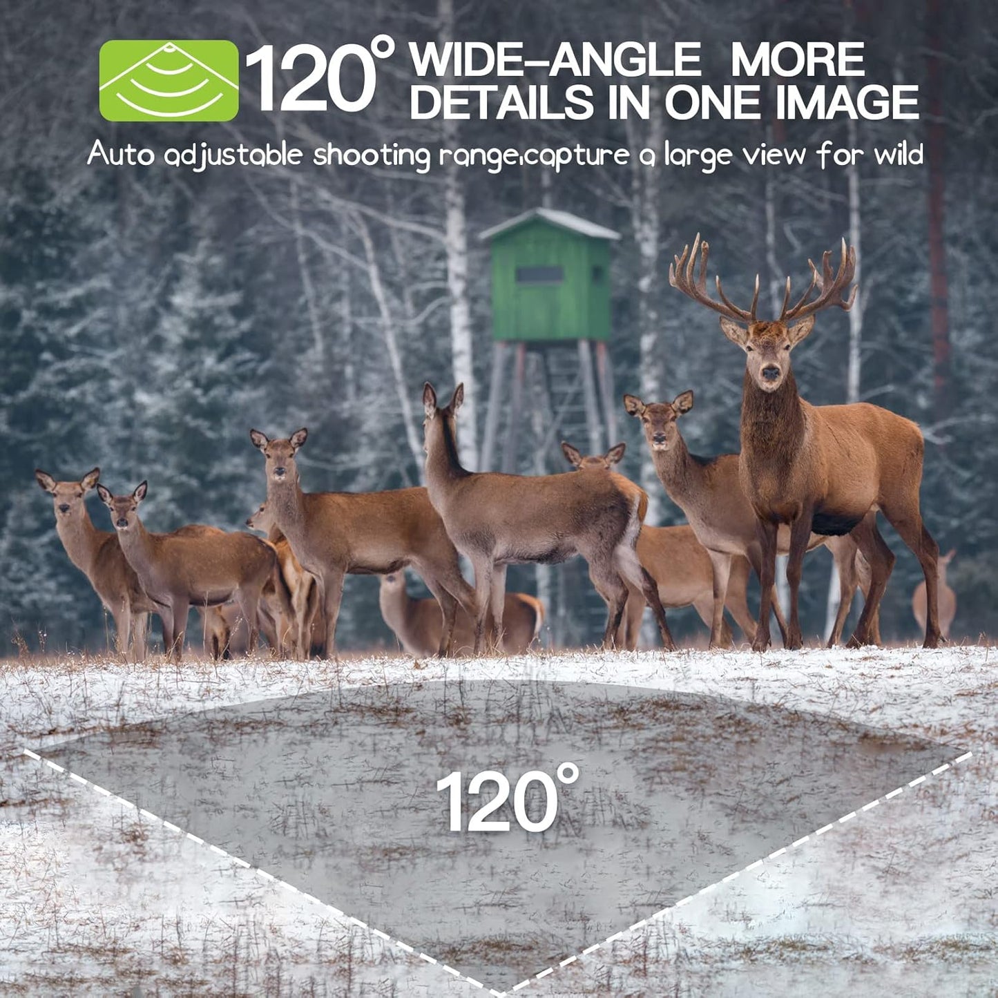 Trail Camera 2 Pack 36 MP 2.7K Game Camera 32GB Memory Card 8 Batteries with 0.2s Trigger Time 120°Wide-Angle Motion Night Vision 2.0" LCD Screen IP66 Waterproof, Wildlife Camera for Monitoring