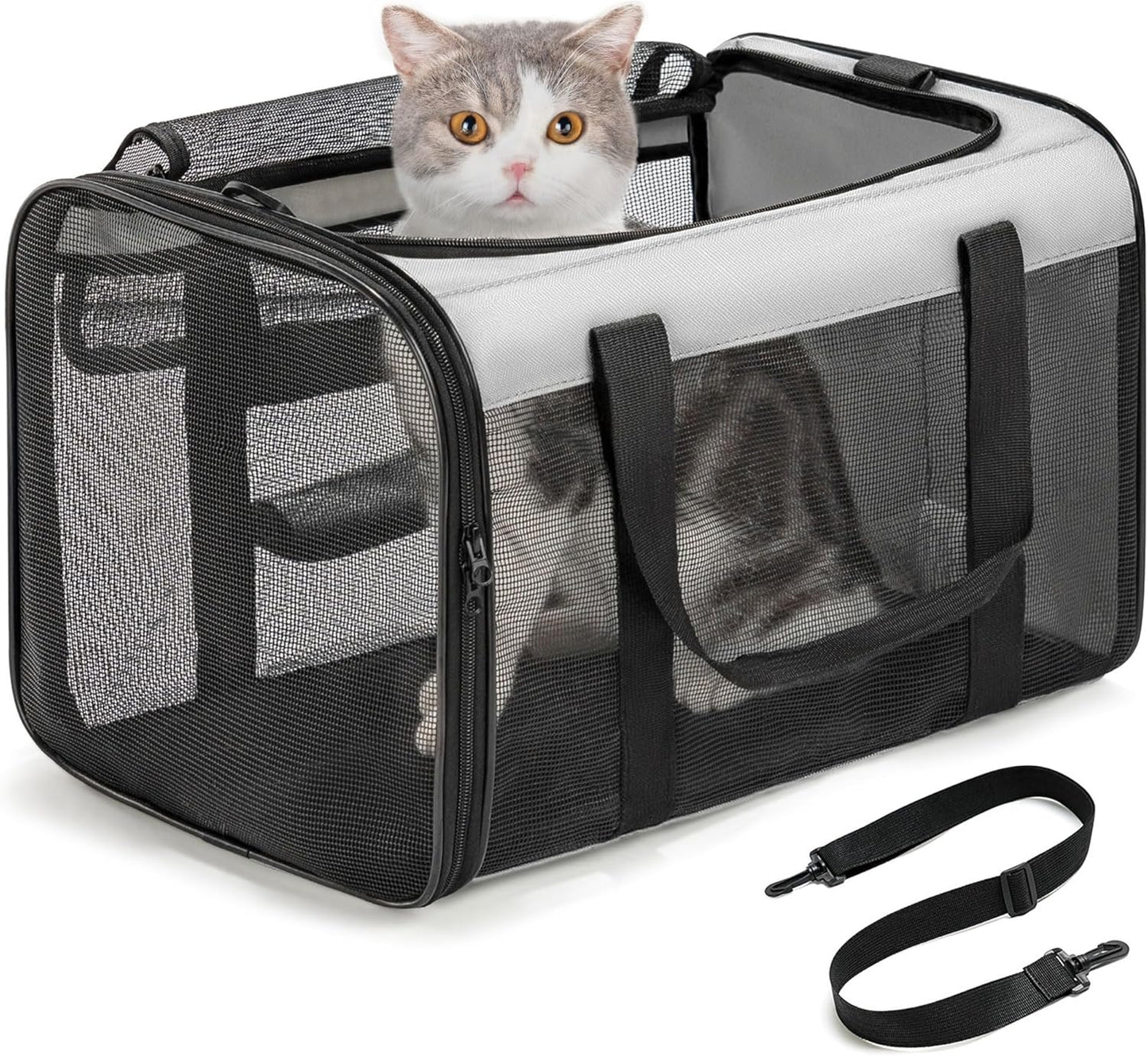 Conlun Cat Carrier Bag,Soft-Sided Pet Carriers for Dogs with 4-Sided Mesh,Airline Approved Cat Transport Carrier for Small&Medium Cats Kitten Puppy Up to 6Kg,Collapsible Cat Travel Carrier-M,Black