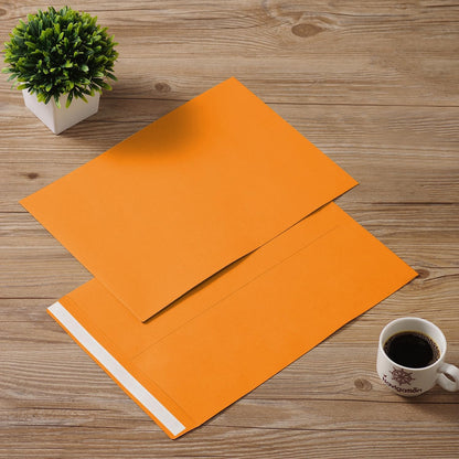 Tanshuqin 9" x 12.75" Self-Seal Catalog Envelopes 32lb Kraft Envelopes for Invitation Cards, Organizing and Storage, Pictures, Photos, Documents (100 PCS)