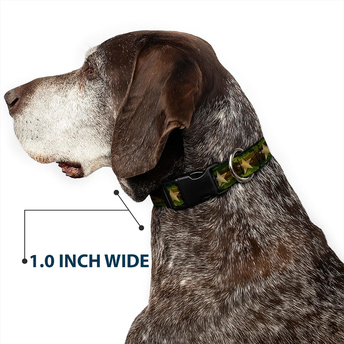 Buckle-Down PC-W21909-M Dog Collar Plastic Clip Buckle, 1"x11"-17", Star Black/White