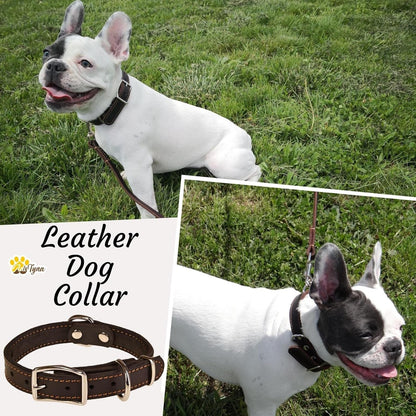 ADITYNA Heavy-Duty Leather Dog Collar for Medium Dogs - Soft and Strong, 100% Genuine Leather - Collier Pour Chien (Medium: Fit 13" - 20" Neck, Brown)