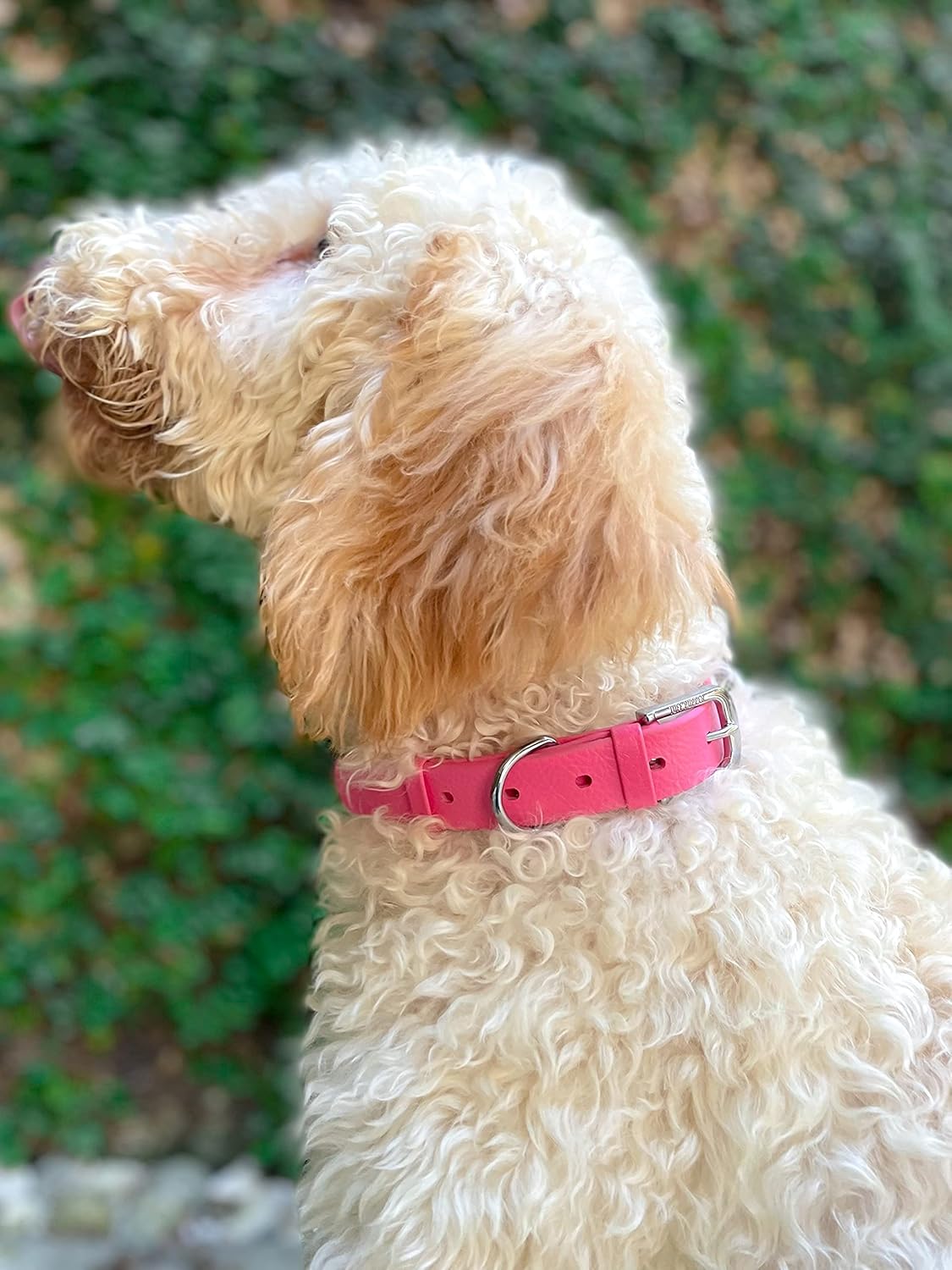 Tuff Pupper Classic Heavy Duty Dog Collar | 10x Stronger Than Leather | 100% Waterproof & Odor Proof Dog Collar | Tough Rust-Proof All Metal Hardware