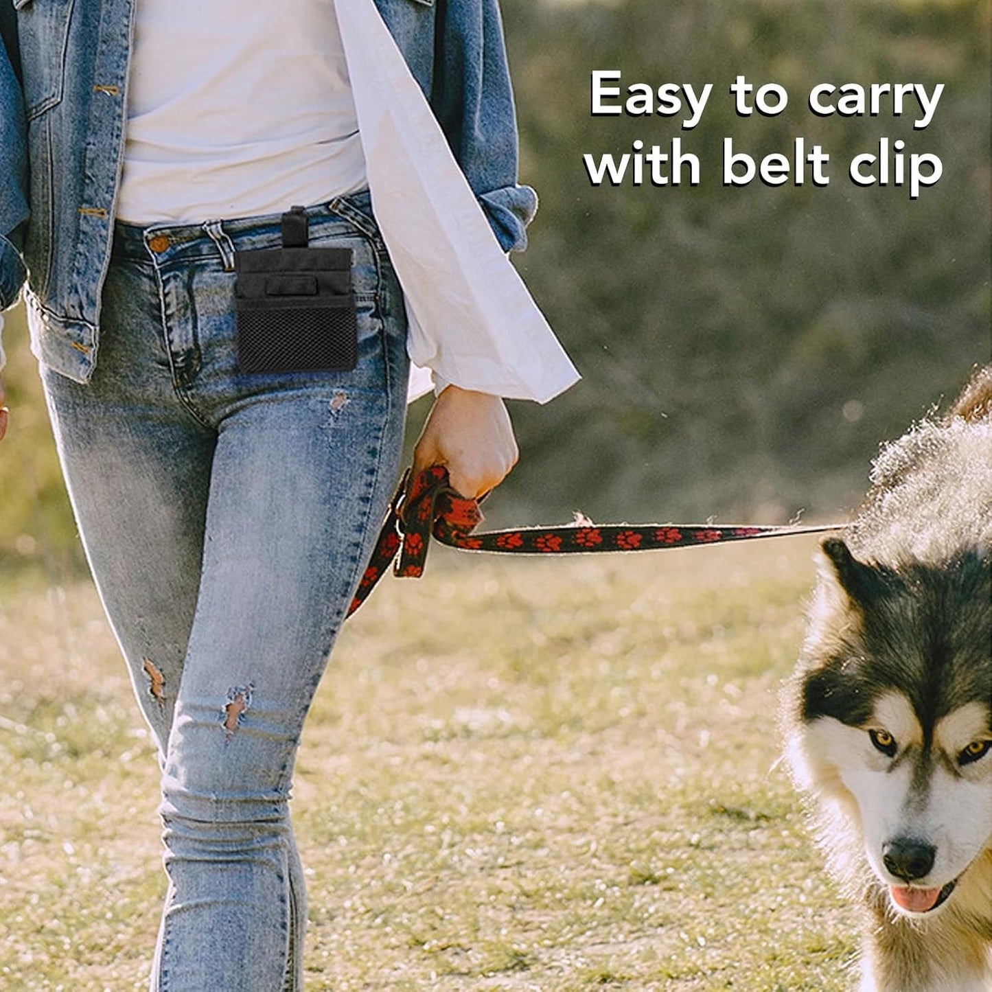 Dog Treat Waist Pouch, Dog Treat Bag Multiple Pockets Dog Treat Carrier Holder with Belt Clip for Puppy Dog Outdoor Walking Training Behavior Aids (Black)