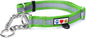 Pawtitas Chain Martingale Dog Collar Puppy Collar Reflective Dog Collar Training Dog Collar Behavioral Dog Chain Collar Collar Medium Dog Collar Green Dog Collar