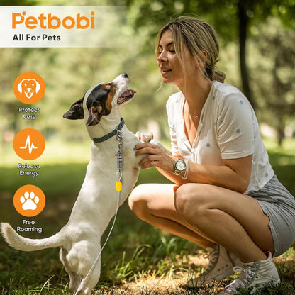 Petbobi Dog Tie-Out Cable and Stake - 30ft Heavy Duty Cable with Spring, No Tangle, 16in Ground Stake, Ideal for Yard, Camping and Beach, Suitable for Small Medium Large Dogs Up to 120 lbs, Blue