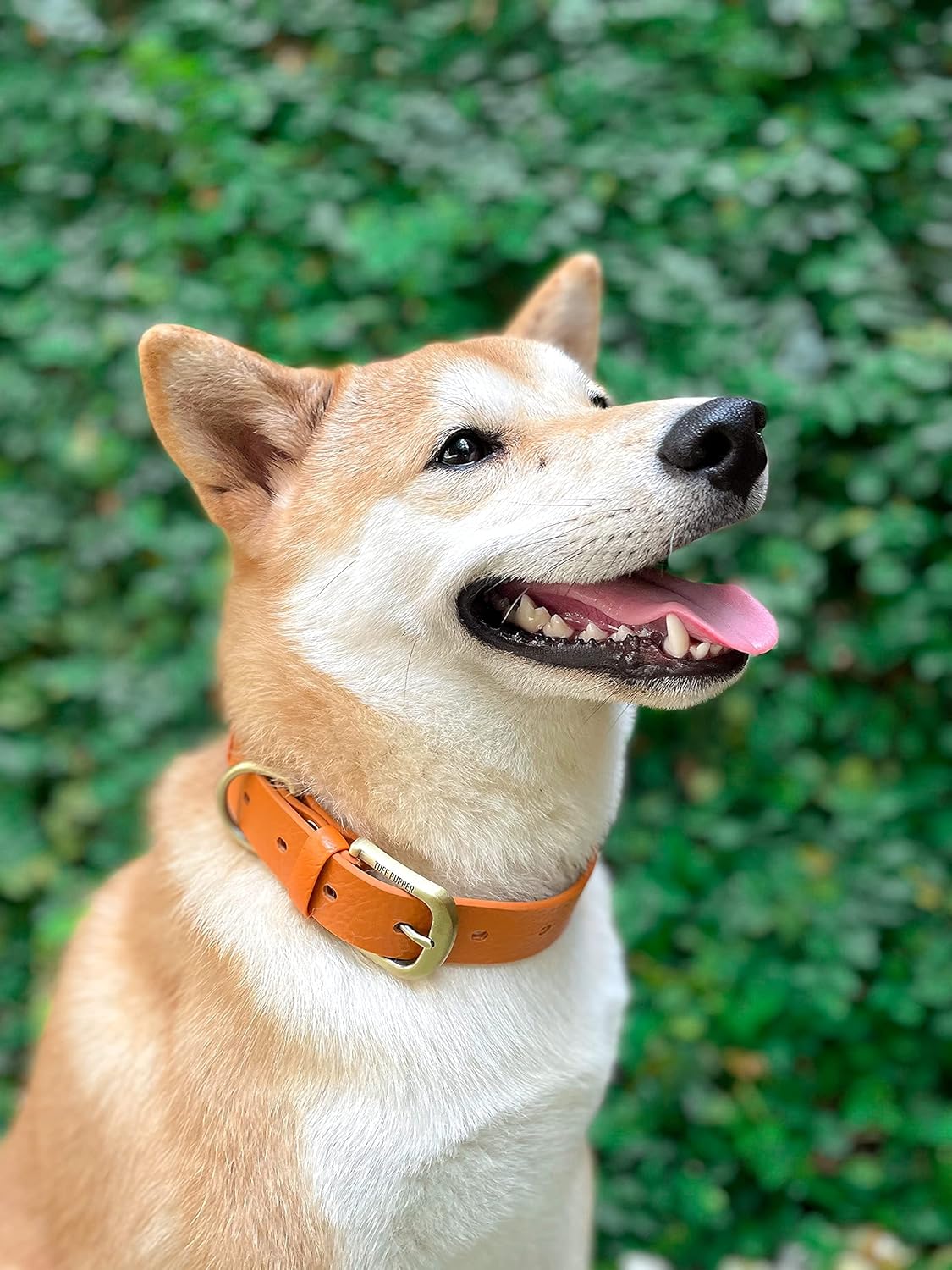 Tuff Pupper Classic Heavy Duty Dog Collar | 10x Stronger Than Leather | 100% Waterproof & Odor Proof Dog Collar | Tough Rust-Proof All Metal Hardware