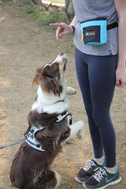 OllyDog Goodie Treat Bag, Dog Treat Pouch, Waist Belt Clip for Hands-Free Training, Magnetic Closure, Dog Training and Behavior Aids, Three Ways to Wear (Palm)