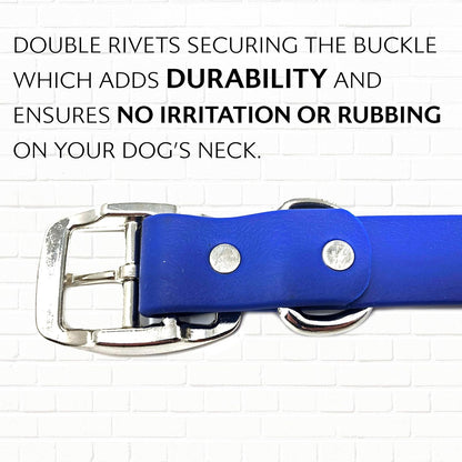 Regal Dog Products Small Orange Waterproof Dog Collar and Leash Set - Vinyl Coated, Biothane Puppy Pet Training Collar with Heavy Duty Center Ring & 5'ft Leash - Other Sizes for Medium & Large Dogs