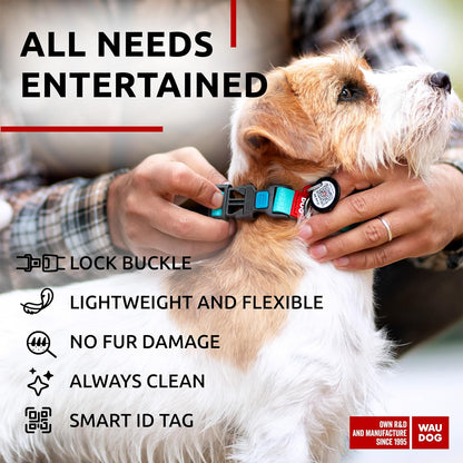 Waterproof Dog Collar - Adjustable Glow Dog Collar for Large Dogs, Small and Medium Dogs - Heavy Duty Dog Collars with Durable Metal Clasp and QR Dog Tag - Glow in The Dark Dog Collars