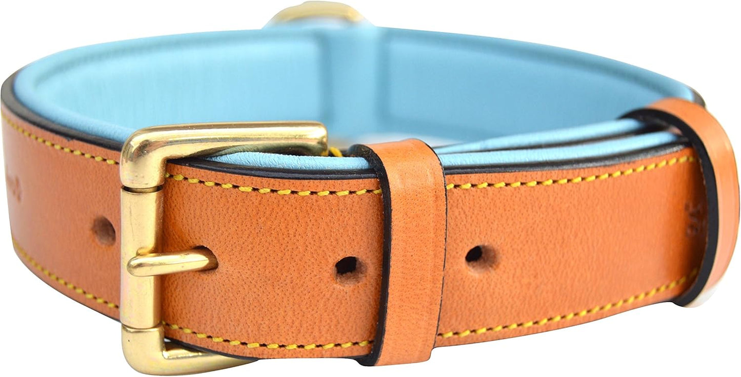 Soft Touch Collars Padded Leather Dog Collar, Large Brown - Genuine Real Leather, 24" Long x 1.5 Wide, Fits Neck Size 18" to 21" Inches