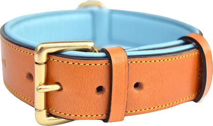 Soft Touch Collars Padded Leather Dog Collar, Large Brown - Genuine Real Leather, 24" Long x 1.5 Wide, Fits Neck Size 18" to 21" Inches