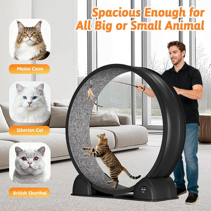 Cat Exercise Wheel with Pedometer, 44" Large Cat Running Treadmill with Carpeted Runway for Indoor Cats Up to 30 lbs, Small Animal Health & Fitness (No Electronics) (Black-Gray Carpet)