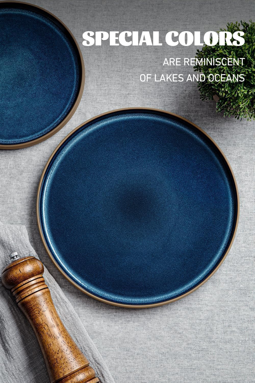 Richmount Nature Plates and Bowls Set, 18 Pieces Dinnerware Sets, Dishware Sets, Dishes Set for 6, Microwave and Dishwasher Safe, Midnight Blue