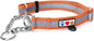 Pawtitas Chain Martingale Dog Collar Puppy Collar Reflective Dog Collar Training Dog Collar Behavioral Dog Chain Collar Collar Large Dog Collar Orange Dog Collar