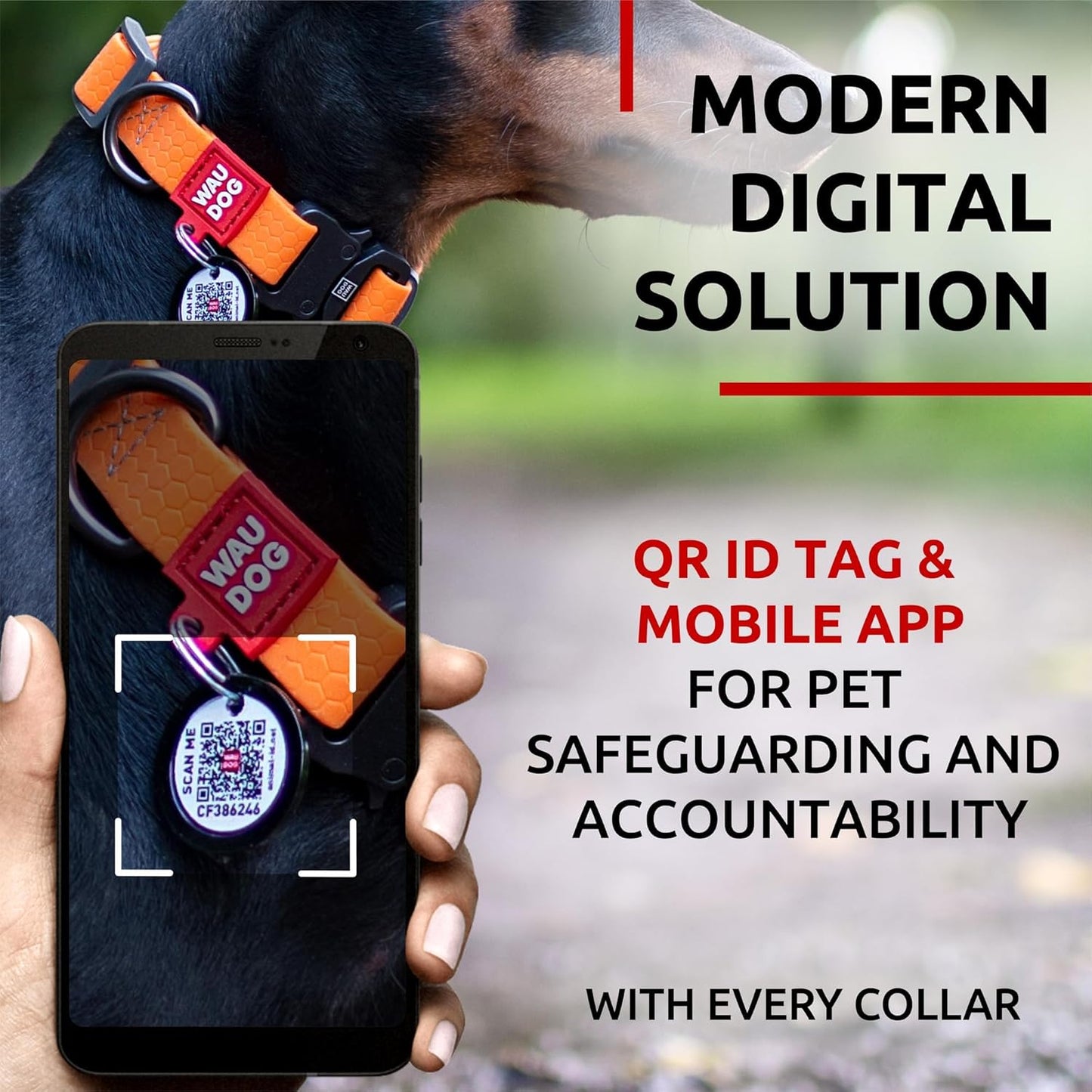 Waterproof Dog Collar - Adjustable Glow Dog Collar for Large Dogs, Small and Medium Dogs - Heavy Duty Dog Collars with Durable Metal Clasp and QR Dog Tag - Glow in The Dark Dog Collars
