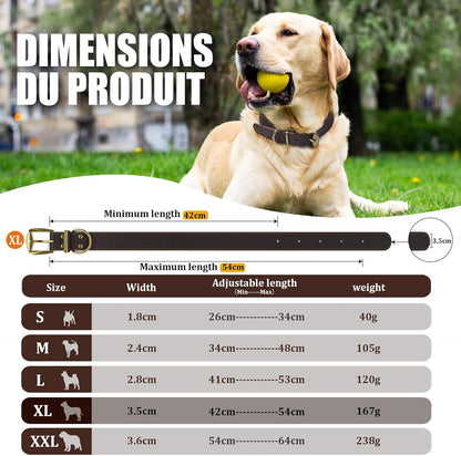 QRDA Leather Dog Collar Brown Dog Training Collar Heavy Duty Premium Leather Dog Collar Dog Collars for Medium/Large Dogs