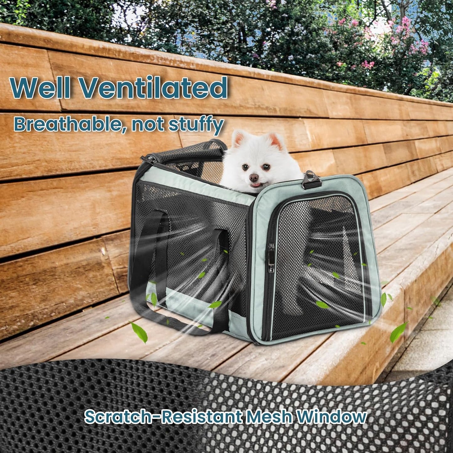Petsfit Pet Carrier Airline Approved, Soft-Sided Cat Carrier with Patented Car Buckle, Lightweight and Collapsible with Adjustable Shoulder Strap, Soft Cushion,Green