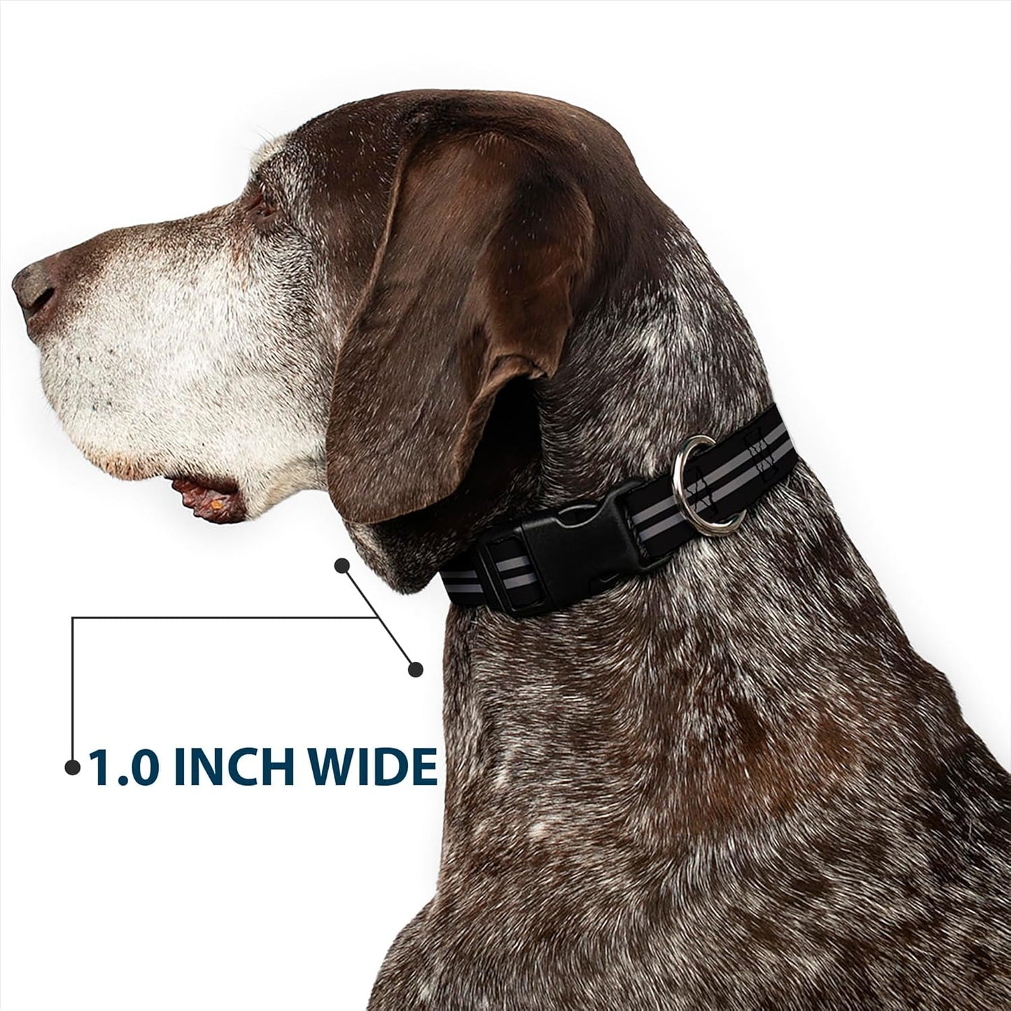 Buckle-Down PC-W21909-M Dog Collar Plastic Clip Buckle, 1"x11"-17", Star Black/White