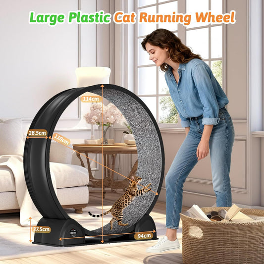 Cat Exercise Wheel with Pedometer, 44" Large Cat Running Treadmill with Carpeted Runway for Indoor Cats Up to 30 lbs, Small Animal Health & Fitness (No Electronics) (Black-Gray Carpet)
