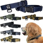 GOOSEMAN’S Gear - Dog Collar Medium and Large Breed - Made in Canada - Military Grade Buckle (Collier Pour Chien) (Ranger Green, X-Large)