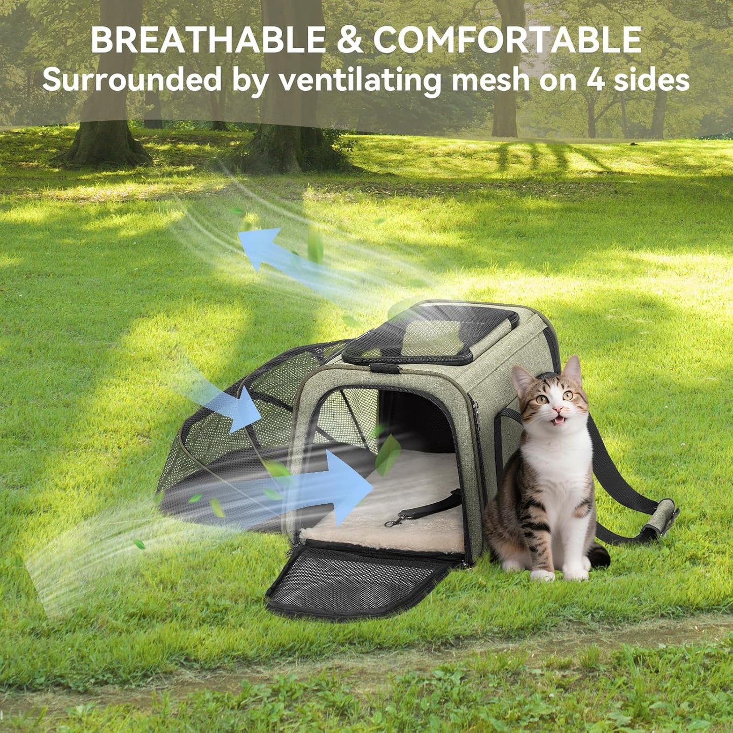 Petsfit Expandable Cat Dog Carrier Airline Approved, 17" L x 11" W x 11" H Soft-Sided Portable Pet Travel Carrier for Kitten, Puppy, Removable Soft Plush Mat and Pockets, Auto-Locking Zippers