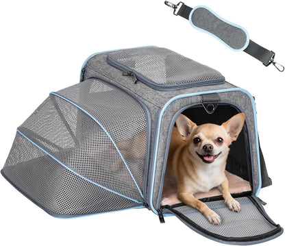 Petsfit Expandable Cat Dog Carrier Airline Approved, 17" L x 11" W x 11" H Soft-Sided Portable Pet Travel Carrier for Kitten, Puppy, Removable Soft Plush Mat and Pockets, Auto-Locking Zippers