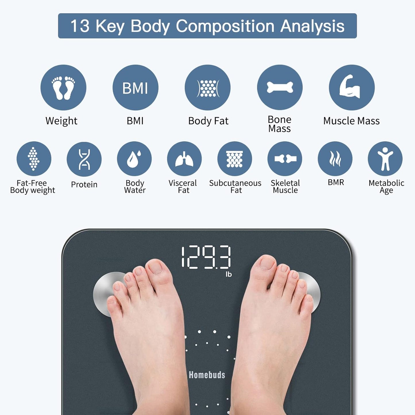Homebuds Digital Bathroom Scale for Body Weight and Body Fat, Weighing Professional Since 2001, Body Composition Monitor Professional for BMI Fat Water Muscle with App, 400lb, Blue