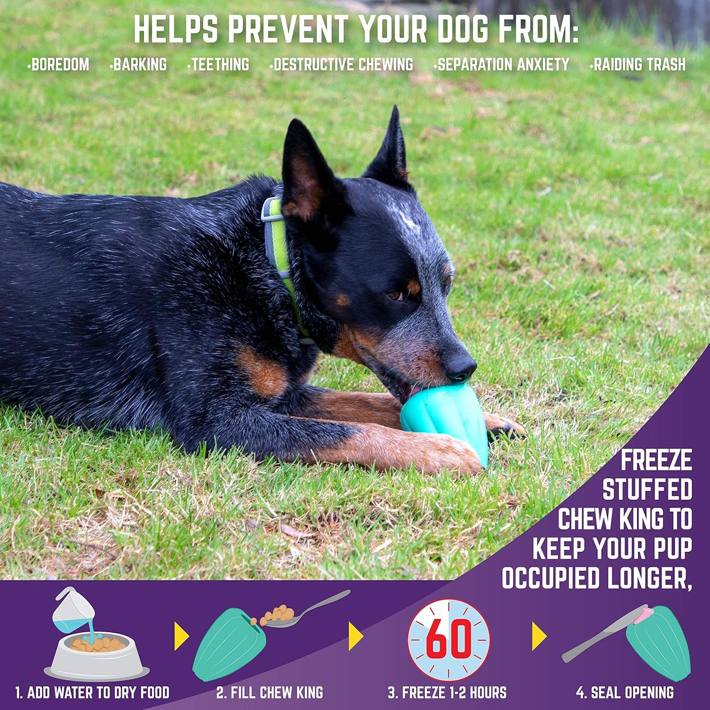 Chew King Premium Treat Dog Toy, L, Extremely Durable Natural Rubber Toy, Pack of 2