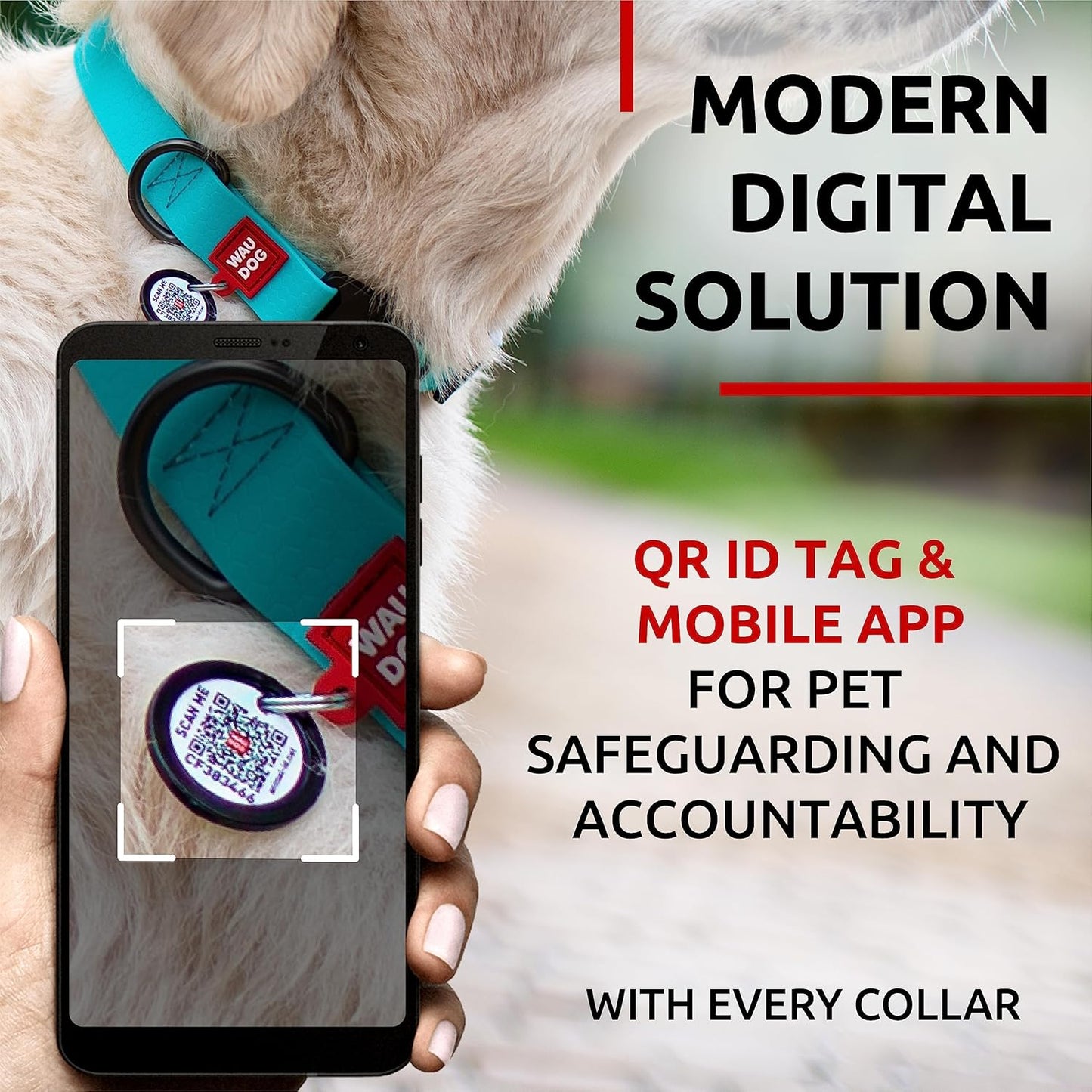 Waterproof Dog Collar - Adjustable Glow Dog Collar for Large Dogs, Small and Medium Dogs - Heavy Duty Dog Collars with Durable Metal Clasp and QR Dog Tag - Glow in The Dark Dog Collars