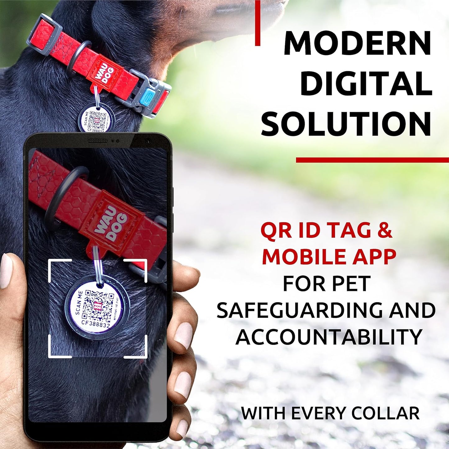 Waterproof Dog Collar - Adjustable Glow Dog Collar for Large Dogs, Small and Medium Dogs - Heavy Duty Dog Collars with Durable Metal Clasp and QR Dog Tag - Glow in The Dark Dog Collars
