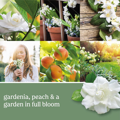 Yankee Candle Scented Candle, Sage & Citrus, Original Large Jar Candle, 110-150 Hours of Burn Time, 22 oz.