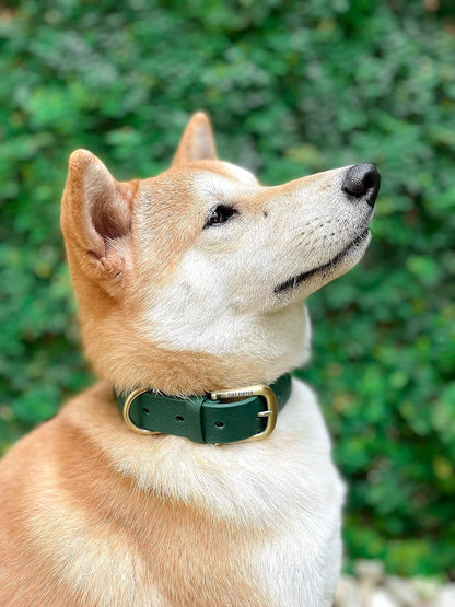Tuff Pupper Classic Heavy Duty Dog Collar | 10x Stronger Than Leather | 100% Waterproof & Odor Proof Dog Collar | Tough Rust-Proof All Metal Hardware