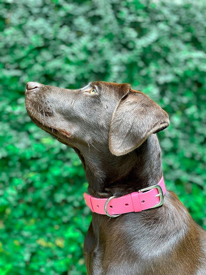 Tuff Pupper Classic Heavy Duty Dog Collar | 10x Stronger Than Leather | 100% Waterproof & Odor Proof Dog Collar | Tough Rust-Proof All Metal Hardware